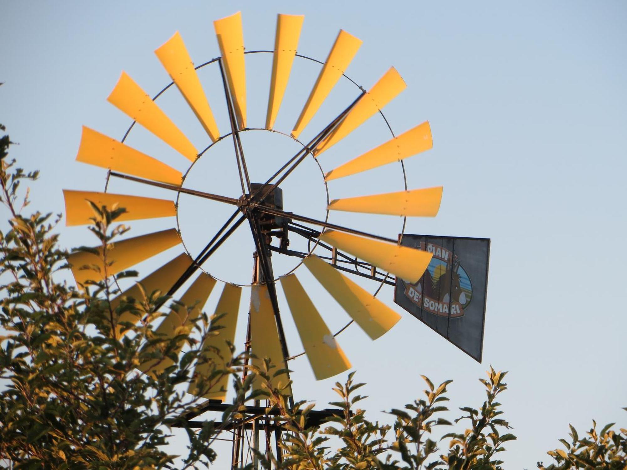 Farm stay Pian De' Somari Pitigliano